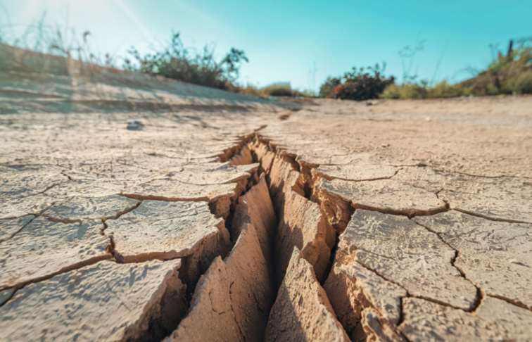 Cracked dry clay soil with a deep fissure running through it
